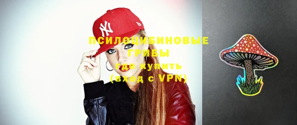 молекула духа Гусев