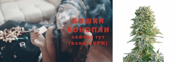 твердый Тобольск