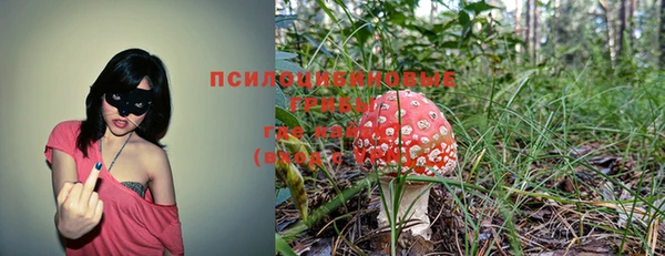 марки lsd Гусиноозёрск
