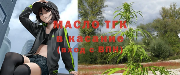 шишки Гусь-Хрустальный