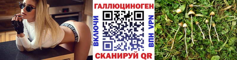 Псилоцибиновые грибы прущие грибы  купить наркотик  Жирновск 
